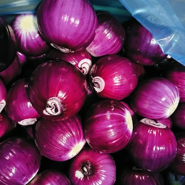 Huaang Food Processing печели пазарен дял със стабилно качество